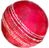 Cricket Ball Image